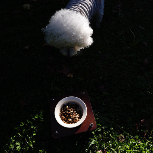 Wood Serie — Single Bowl